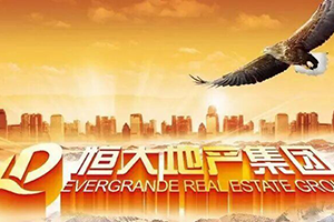 储值卡系统 储值卡系统